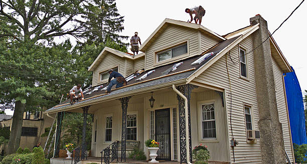 Best New Roof Installation  in Garrison, ND